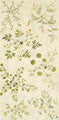 Green Plants Tablecloth Green Plants Tablecloth