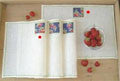 Strawberry Placemats Strawberry Placemats