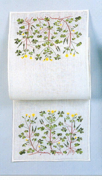 Wood Sorrel Runner Wood Sorrel Runner