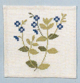 Speedwell Speedwell