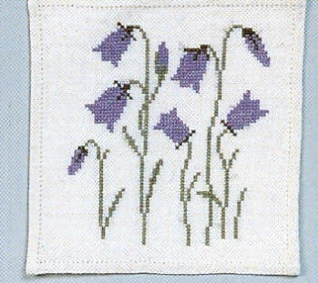 Blue Harebell Blue Harebell
