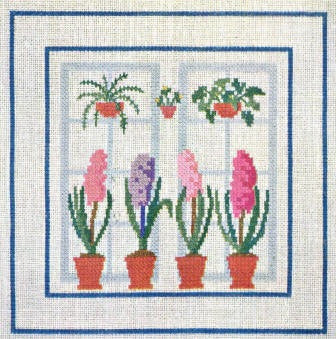 Hyacinth Hyacinth