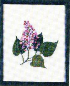 Lilac, New Hampshire Lilac, New Hampshire