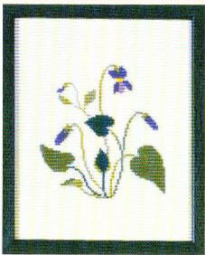 Violet (Illinois, New Jersey, Wisconsin & Rhode Island) Violet (Illinois, New Jersey, Wisconsin & Rhode Island)