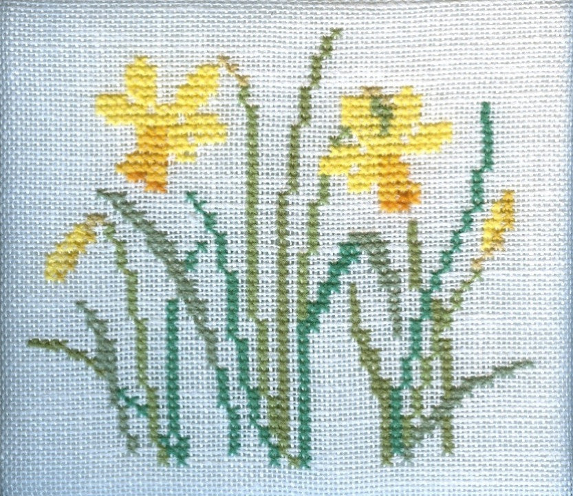 Daffodil Daffodil