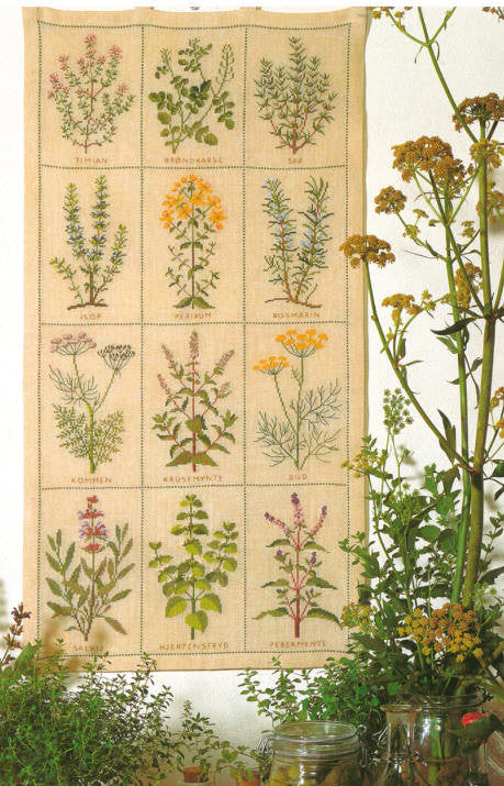 Herbs Herbs