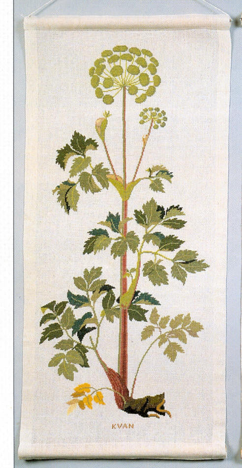 Angelica Angelica