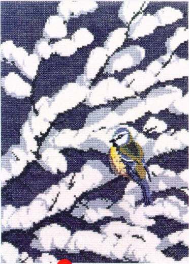 Blue Tit In Snow Blue Tit In Snow