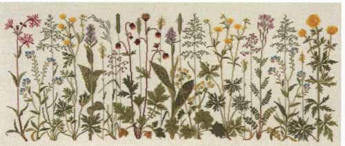 Flowers of the Meadow Flowers of the Meadow