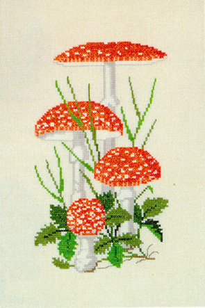 Fly Agaric Mushrooms Fly Agaric Mushrooms