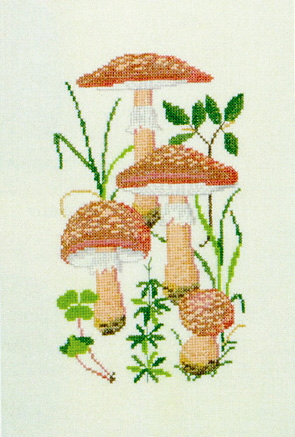 Amanita Mushrooms Amanita Mushrooms