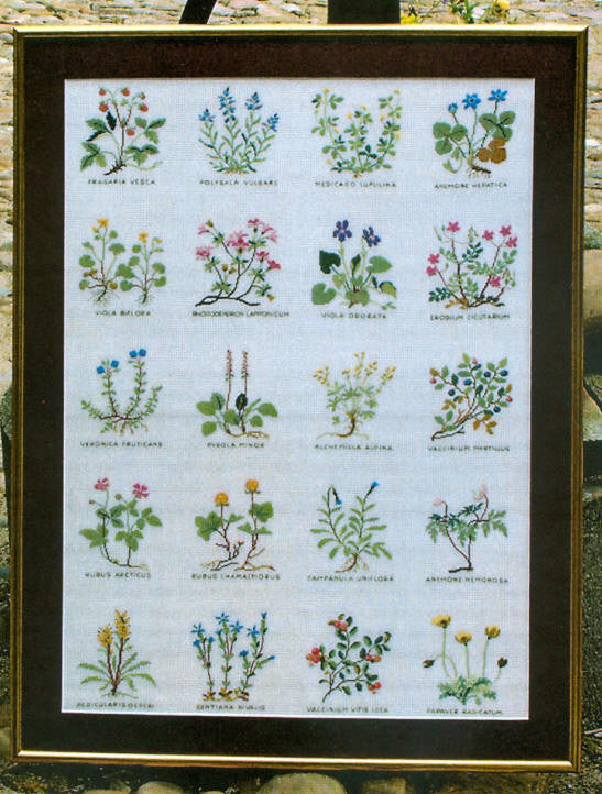 Flowers Flowers