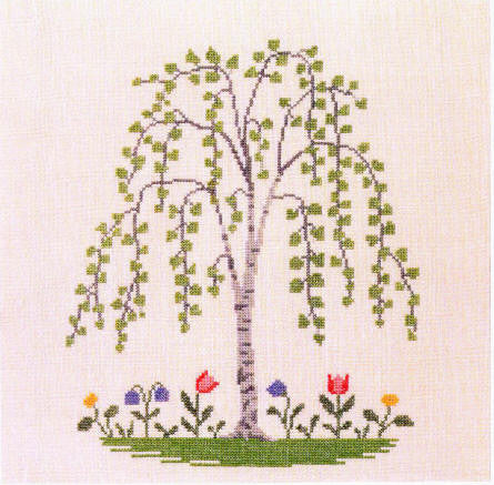Birch Birch
