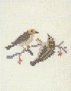 Goldcrest Goldcrest