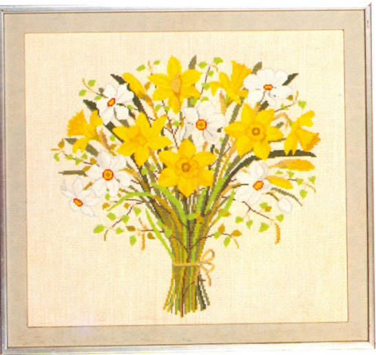 Daffodils & Narcissus Daffodils & Narcissus