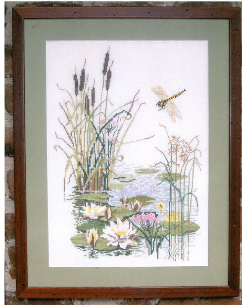 Water Lilies Water Lilies
