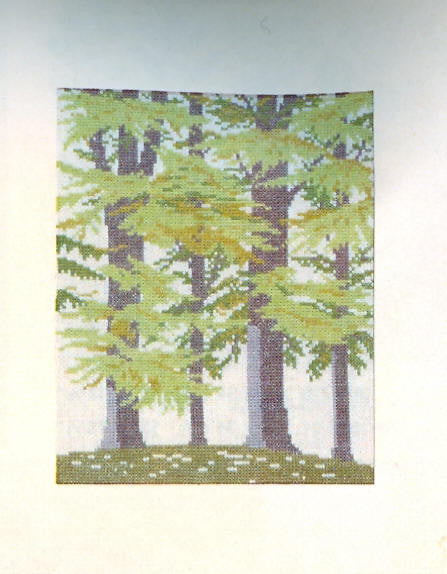 Beech Forest Beech Forest