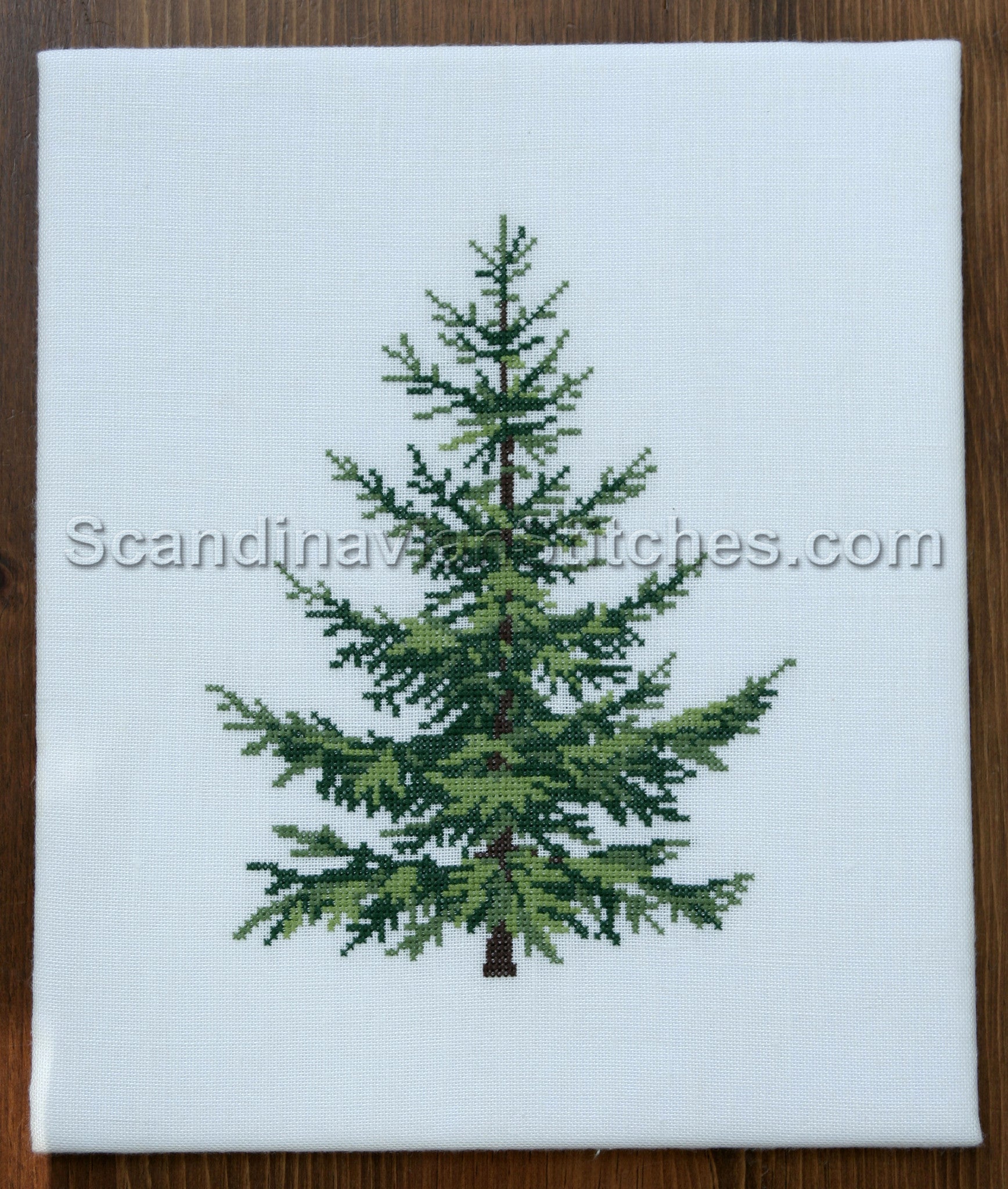 Blue Spruce Blue Spruce