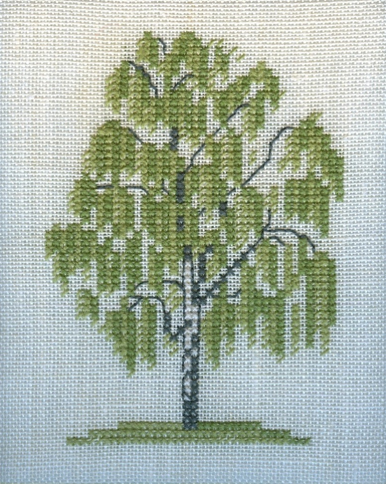 Birch Birch