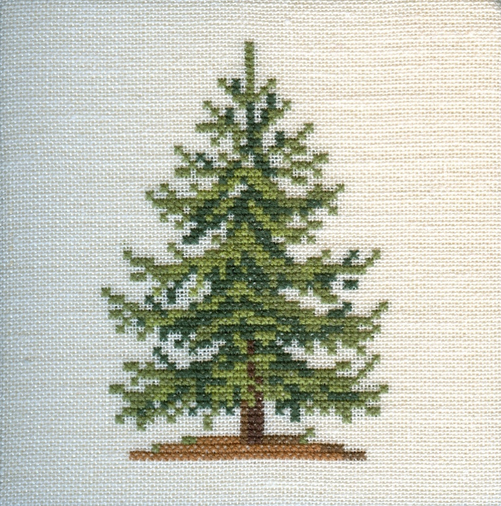 Spruce Spruce