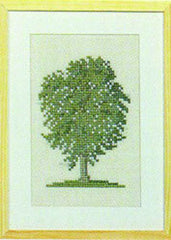 Elm