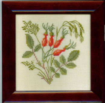 Rosa Davidii Rosa Davidii