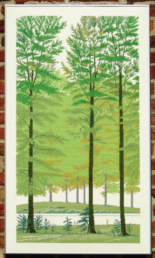Beech Woods Beech Woods