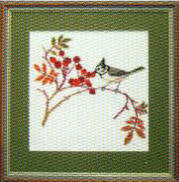 Crested Warbler Oct, 1993 calendar Crested Warbler Oct, 1993 calendar