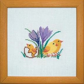 Chicken and Crocus Chicken and Crocus