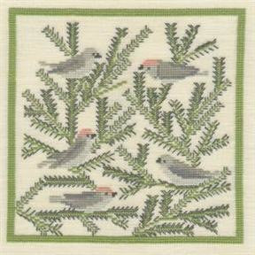 Goldcrest Goldcrest