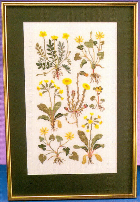 Yellow Spring Flowers Yellow Spring Flowers