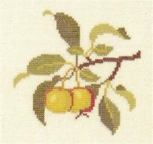 Crab Apple Crab Apple