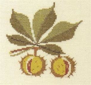 Chestnut Chestnut