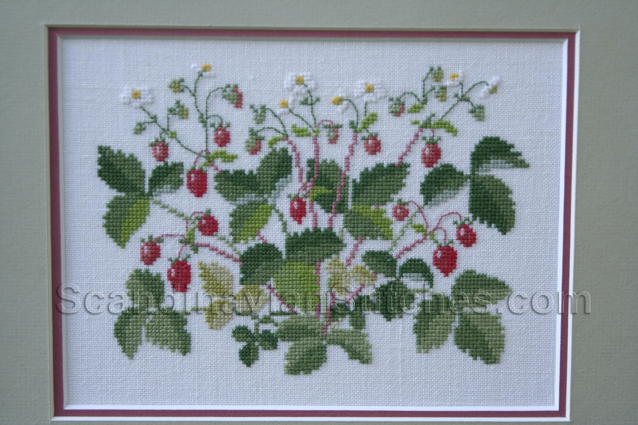 Strawberries Strawberries