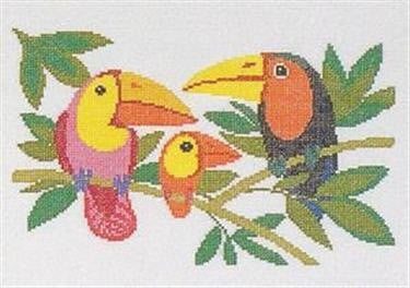 Toucan Toucan