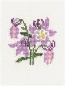 Columbine Columbine