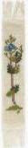 Speedwell Bookmark Speedwell Bookmark