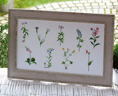 Blütentanz (Flower Dance)