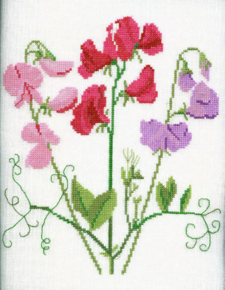Sweet Peas Sweet Peas