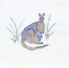 Kangaroo Kangaroo