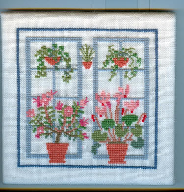Azalea