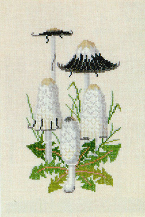 Ink Cap Mushrooms