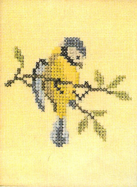 Blue Tit