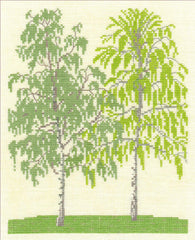 Birch Trees