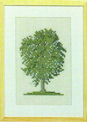 Elm