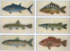 Fish Book